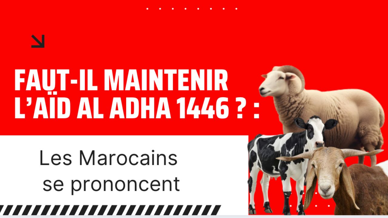 VIDEO. Faut-il maintenir l’Aïd Al-Adha 1446 ? : Les Marocains se prononcent